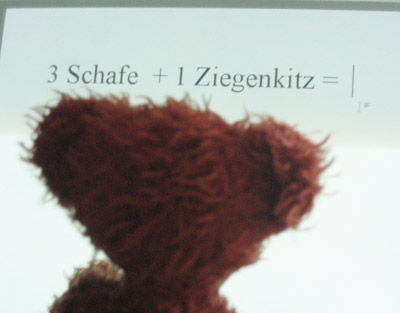 rechenproblembaer