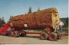 Giant Fir Log
<br />
This 13'000 board feed speciman is typical of the giants still found in the virgin forests of Oregon. A lot of lumber in this one. Ektachrome by J. Boyd Ellis
<br />
Pub. by Smith Western, Inc. 224 S.W. Jefferson, Portland, Oregon