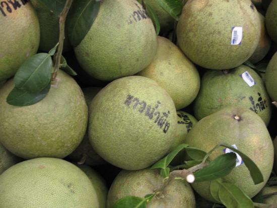 Handschfrift Handschfrift