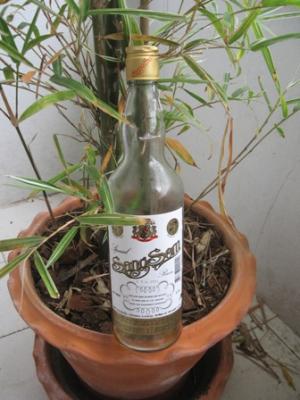 Auch leer wirkt die Flasche Sang Som immer noch eher halb voll als halb leer Auch leer wirkt die Flasche Sang Som immer noch eher halb voll als halb leer