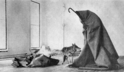 joseph beuys: coyote 
