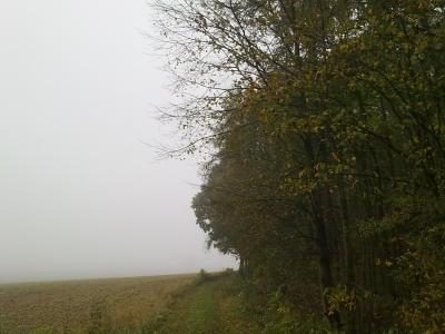 06102010857
