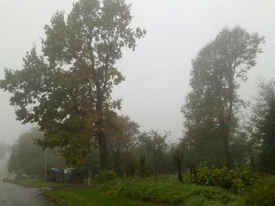 06102010868