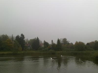 06102010874