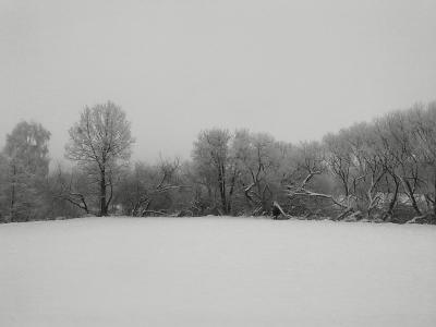 0612201011291