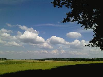 08082010708