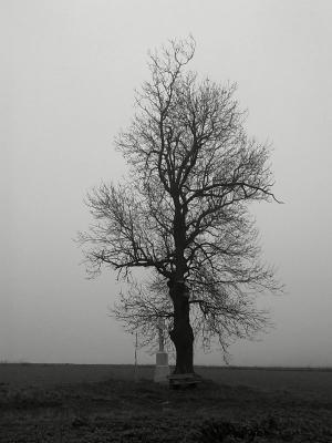 141120101037
