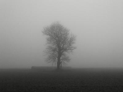 211120101080