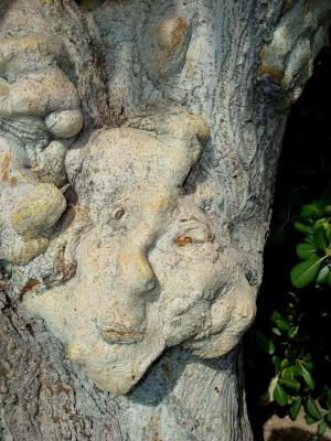 DSC00217a