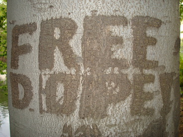 FreeDope