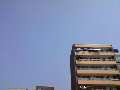 DSC00699