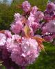 blog2