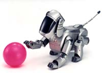 aibo