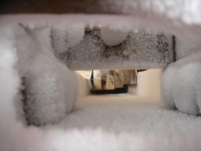 Frutzwinter-Dezember-2007-028