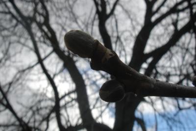 fruehling-017