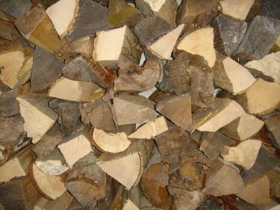 holz-005