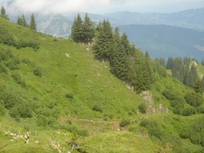 mellau-damuels-0251