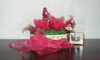 rosahase