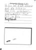 Zoobericht-Raphael090019