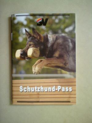Ambra wird Schutzhund ?!? :-)