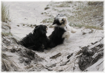 nordsee09