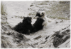 nordsee09