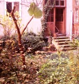 kellergarten