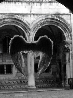 angelindubrovnikbymelsroseD