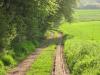 Feldweg