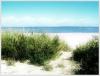 hiddensee