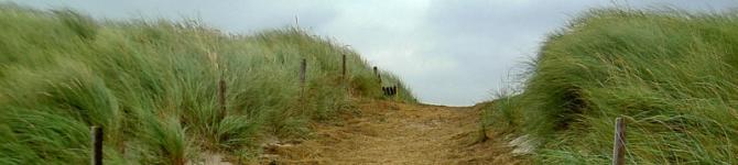 ostsee_love