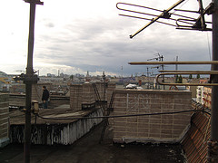 schreiner_roof2