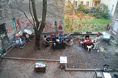 schreiner_yard2