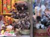 das-sind-wirklich-Lamafoeten-und-die-bringen-Glueck
