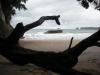 Cathedral-Cove1