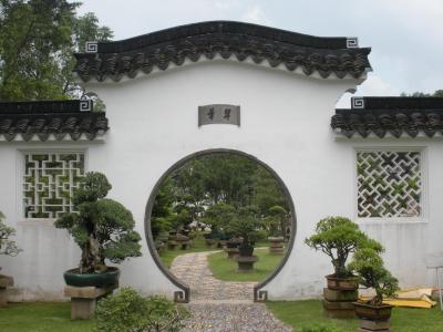 Chinese-garden3