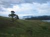 Coromandel3