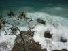 Noosa-National-Park