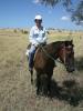Tina-reitet