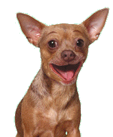 4a1ac4a3efee5759a4c4bd635ff97ac4