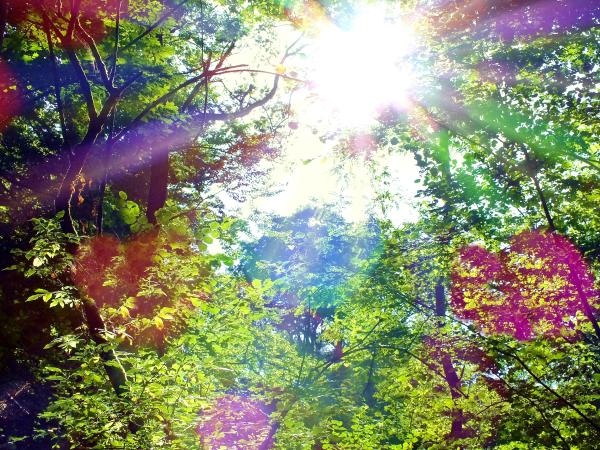 abendsonnenspiel-anfang-september-2013-1