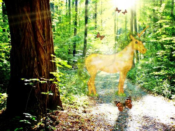 an-der-akazie-anfang-okt-2-mit-einhorn-213