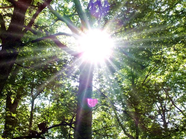 sonnenflutlicht-im-juli