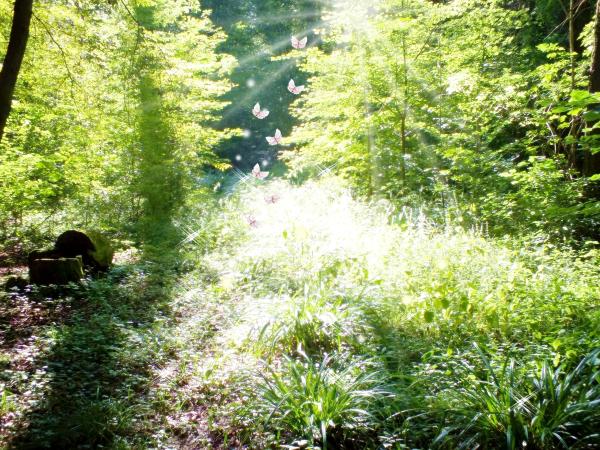 von-susi-aus-gesehen-mitte-august1