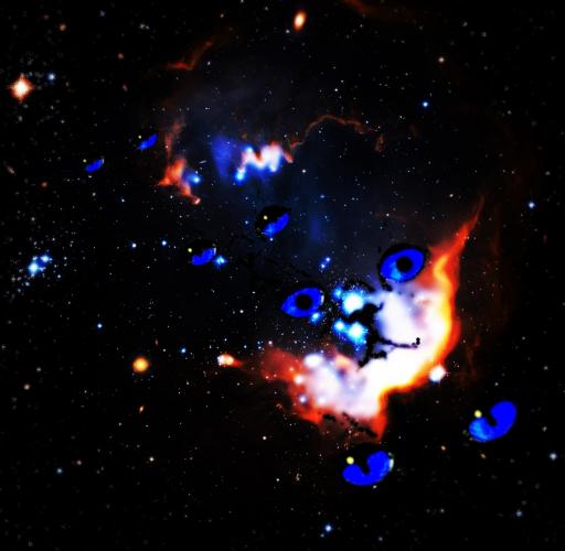 Susi-im-Traum-nur-ohne-Sterne