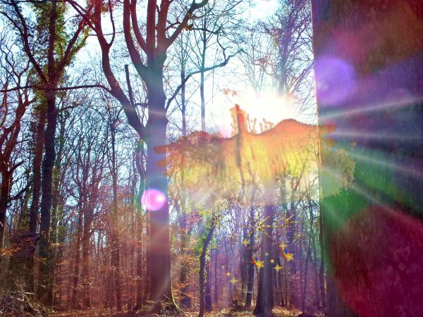 bei-susi-zu-silvester2013-mit-phoenix