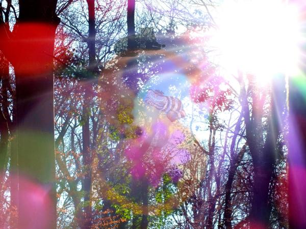 verruecktes-lichtspiel-zu-silvester-ich-bin-mit-susi