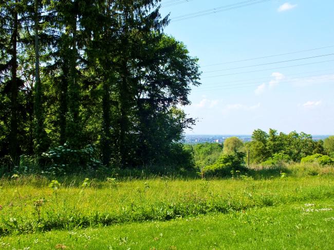 blick-auf-wiesloch-und-industriegebiet-mai-2014