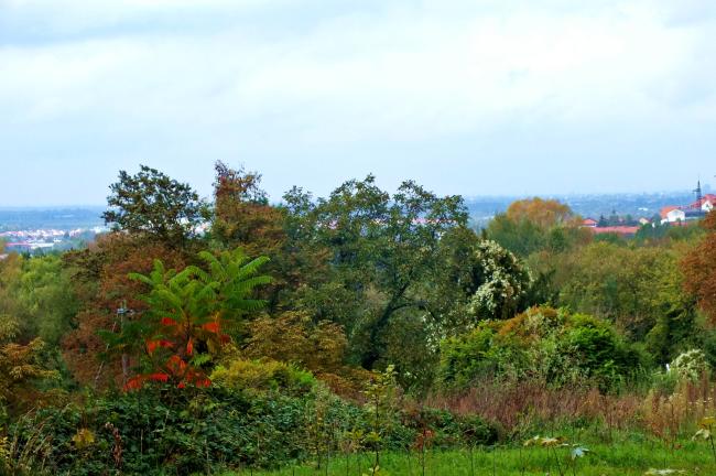 blick-nach-leimen-anfang-oktober-2014