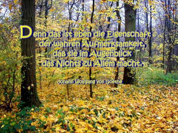 aufmerksamkeit-goethe